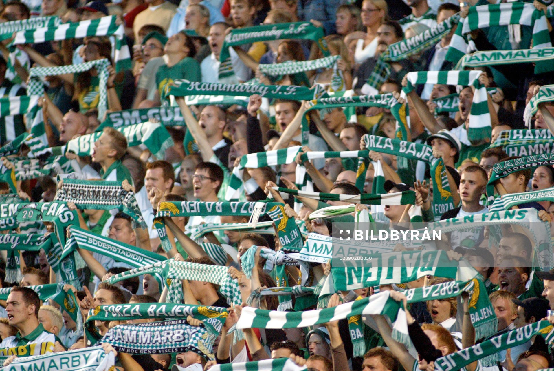 Supporter, Hammarby
