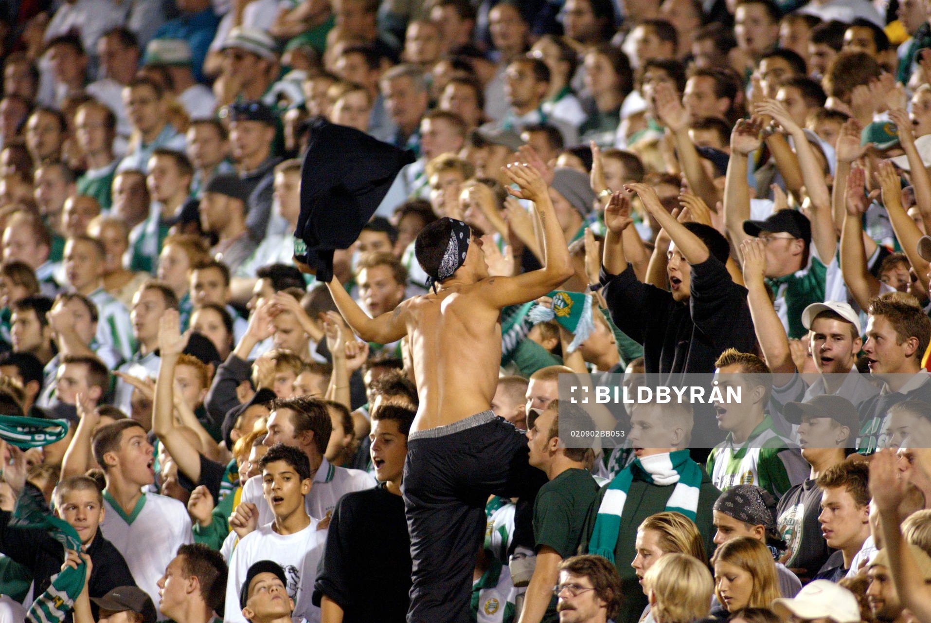 Supporter, Hammarby