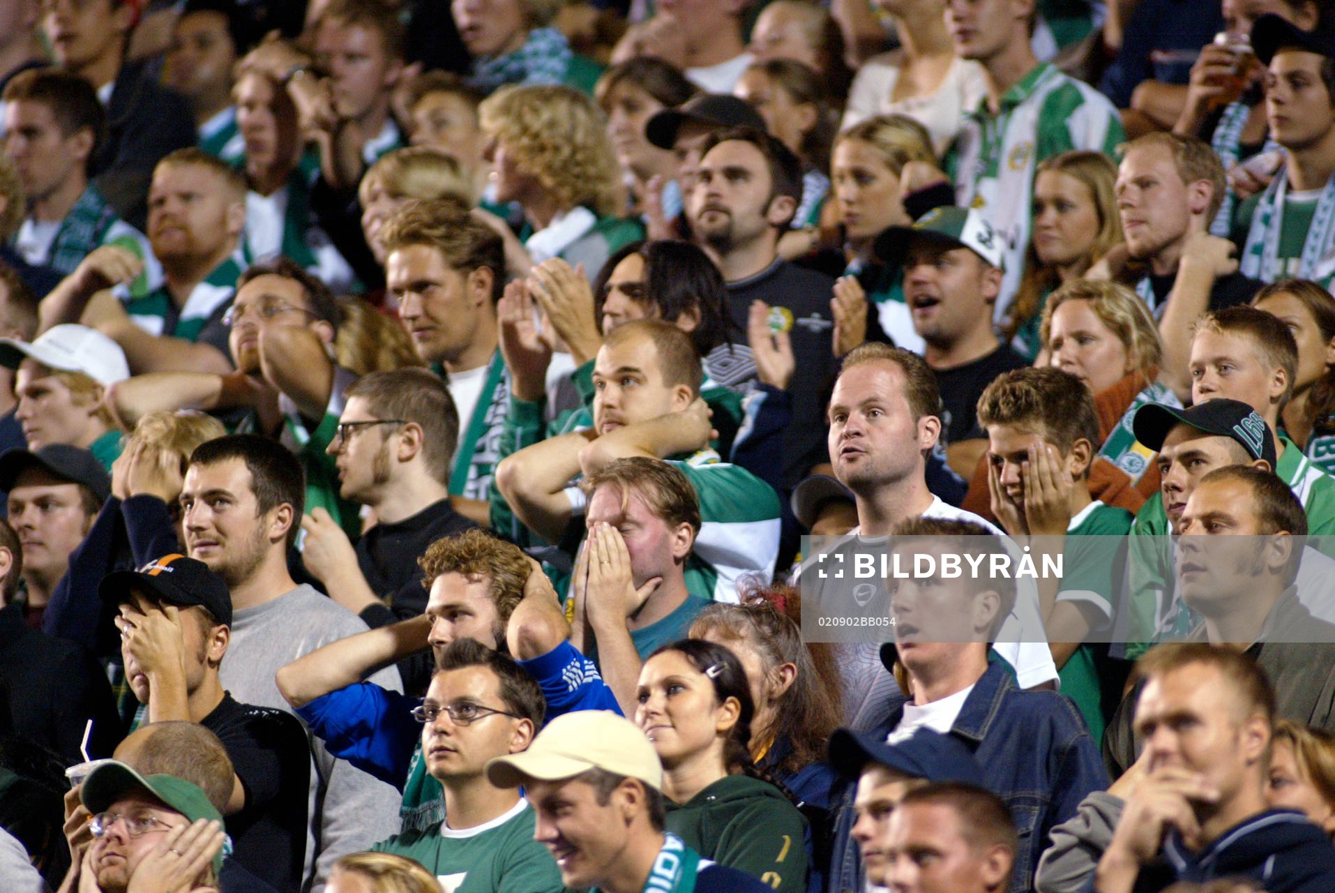 Supporter,depp, Hammarby