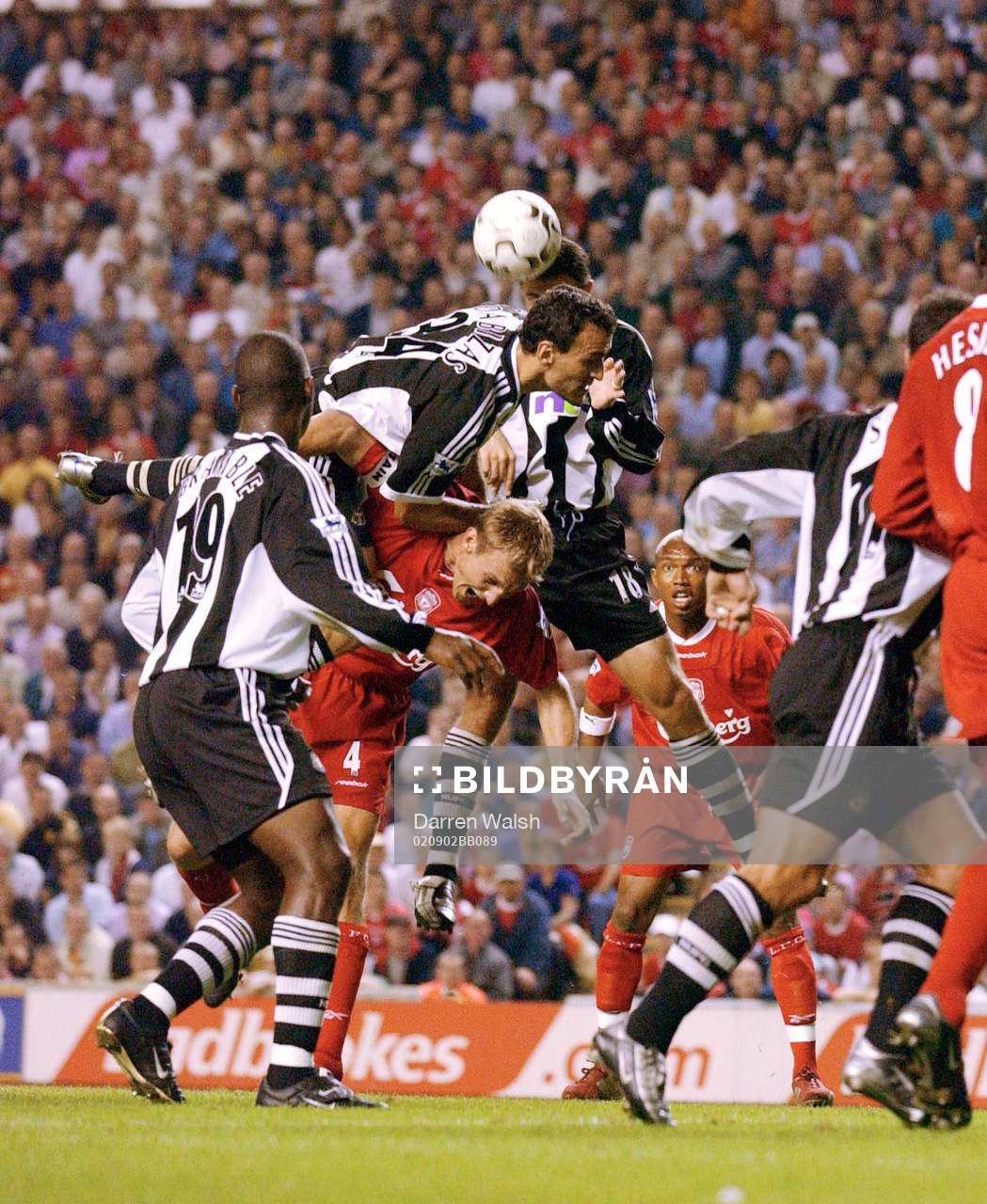 Fotboll, Engelsk, Premier League,  Liverpool - Newcastle