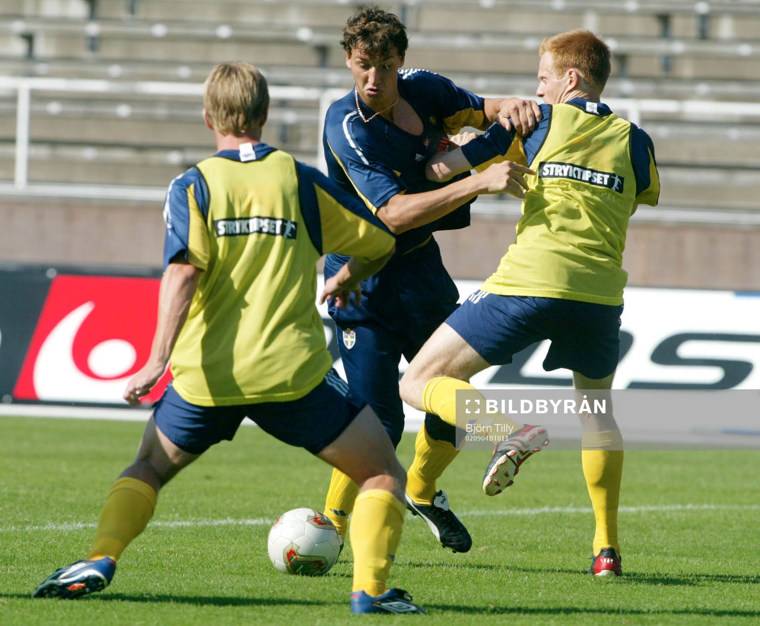 Zlatan Ibrahimovic och Michael Svensson, Sverige