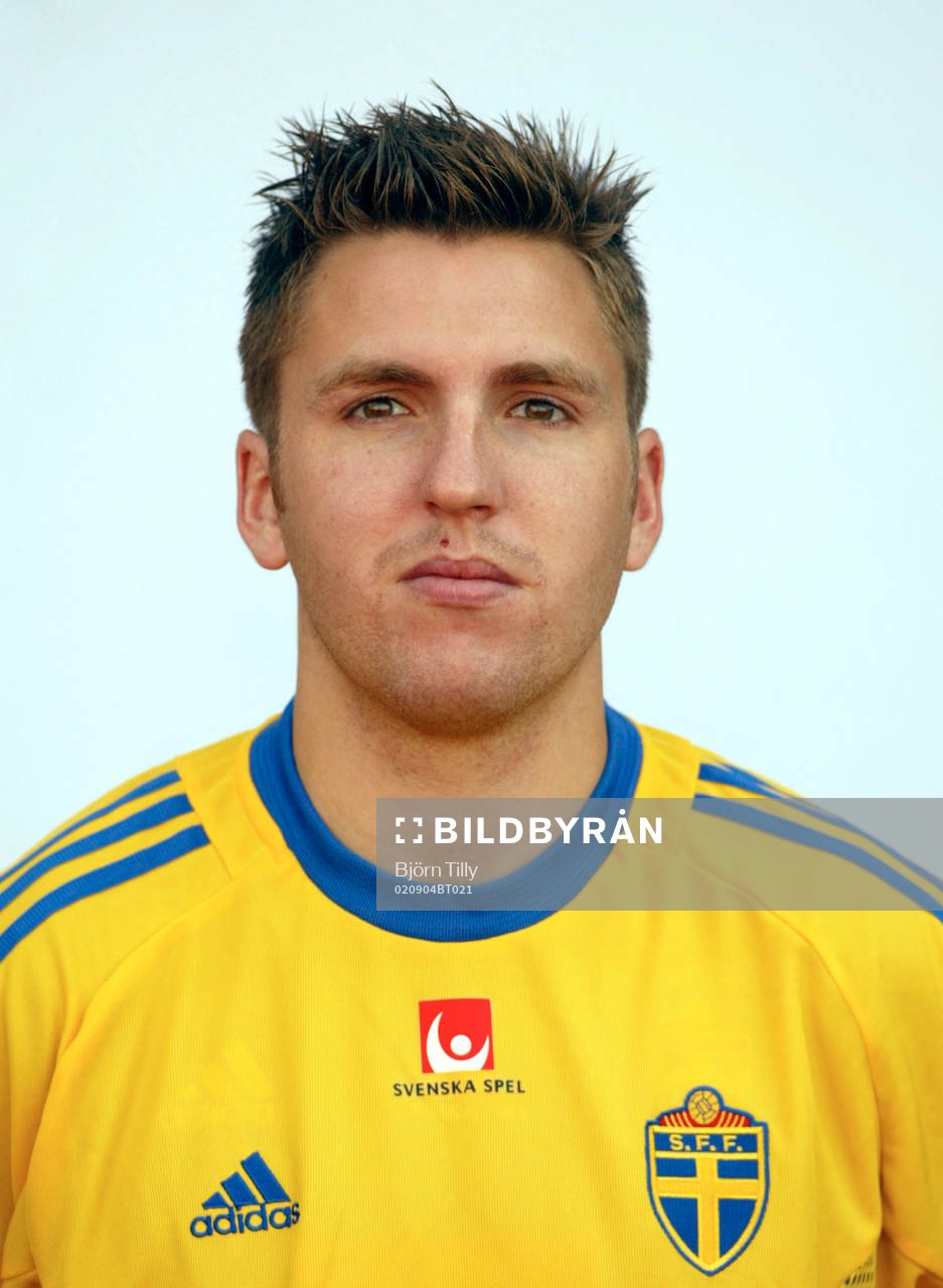 Nils-Eric Johansson, Sverige