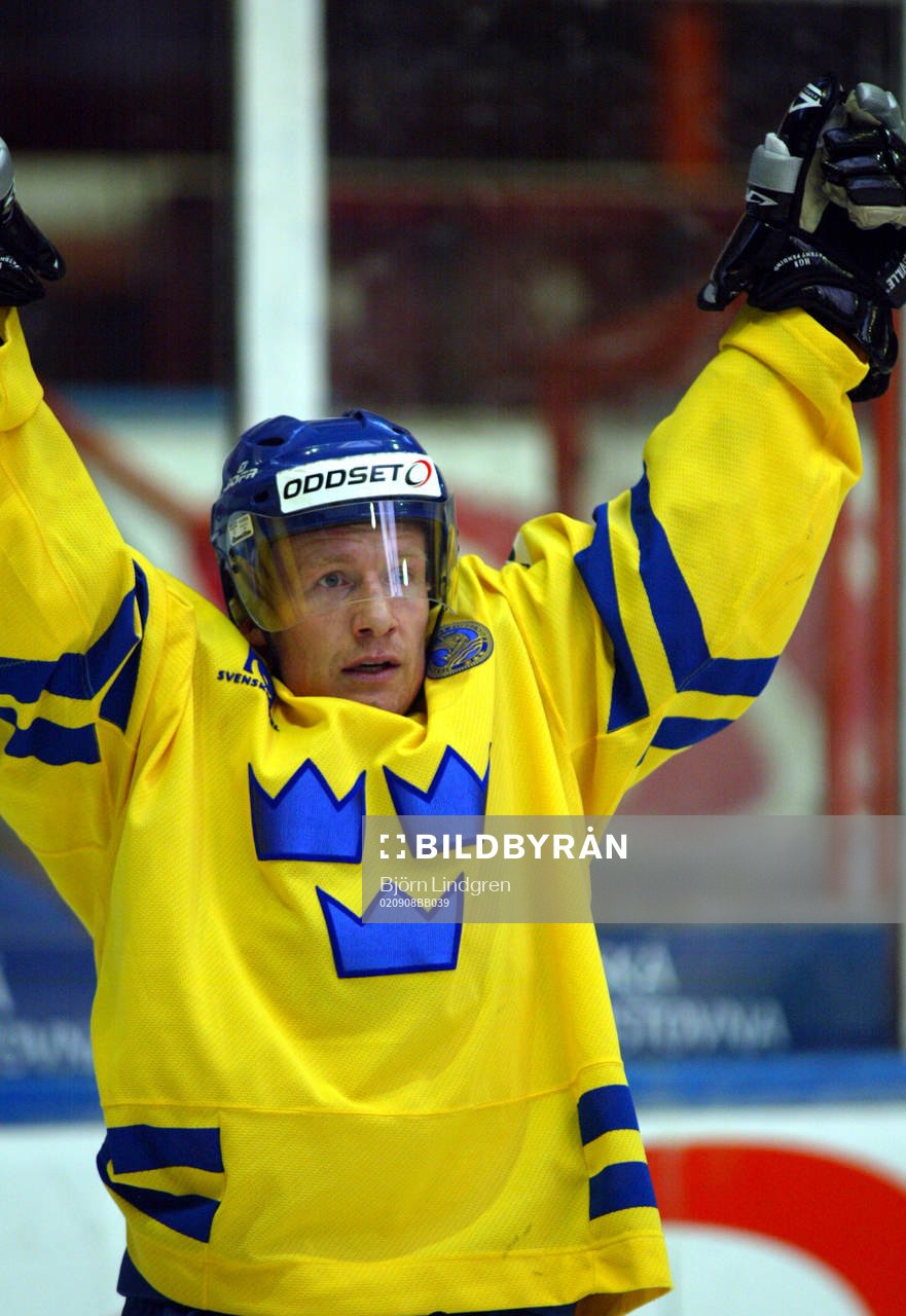 Niklas Andersson gjorde Sveriges 2-1-mål och jublar...