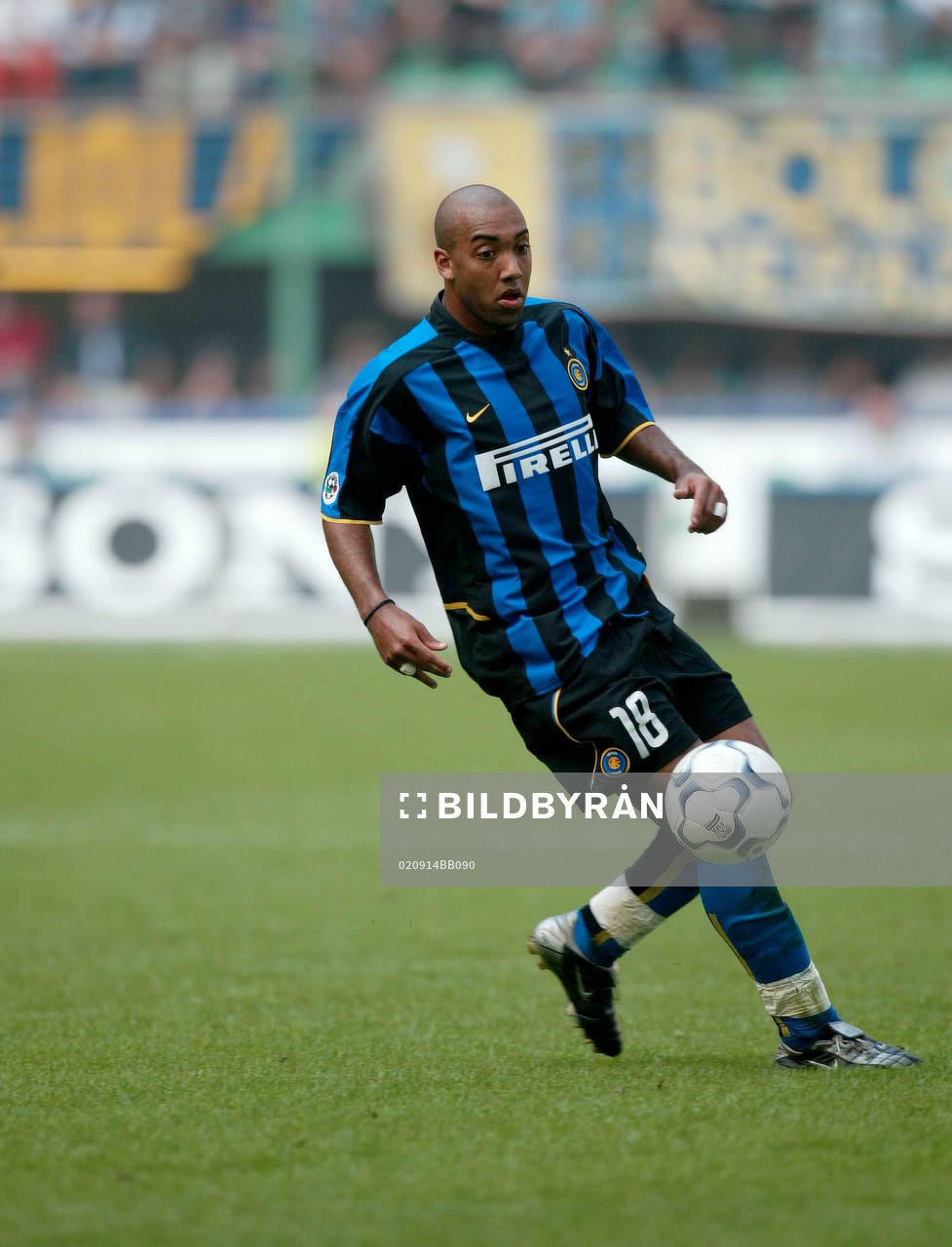Dalmat, Inter