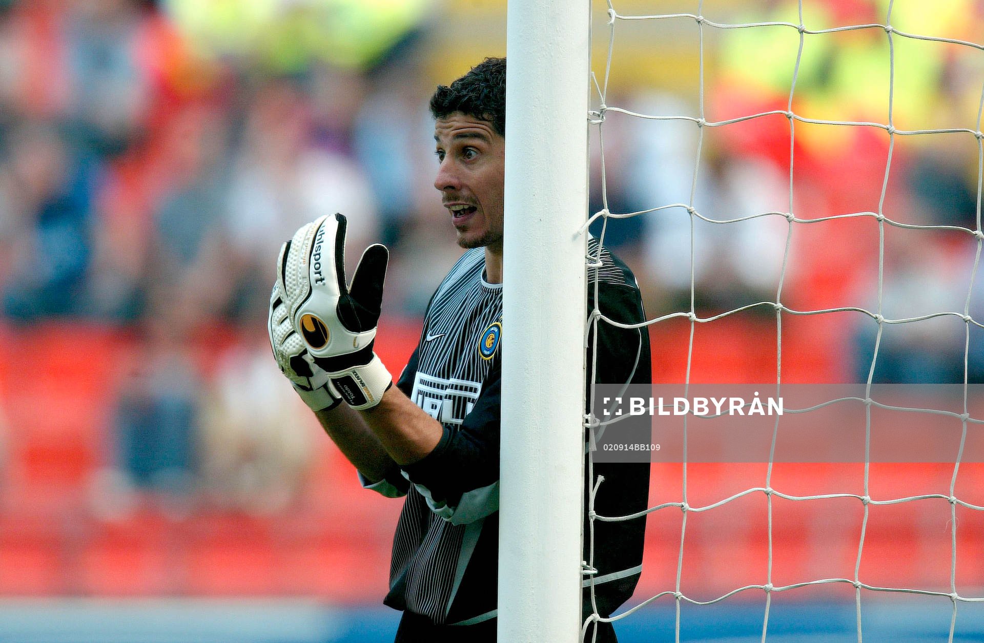 Toldo, Inter