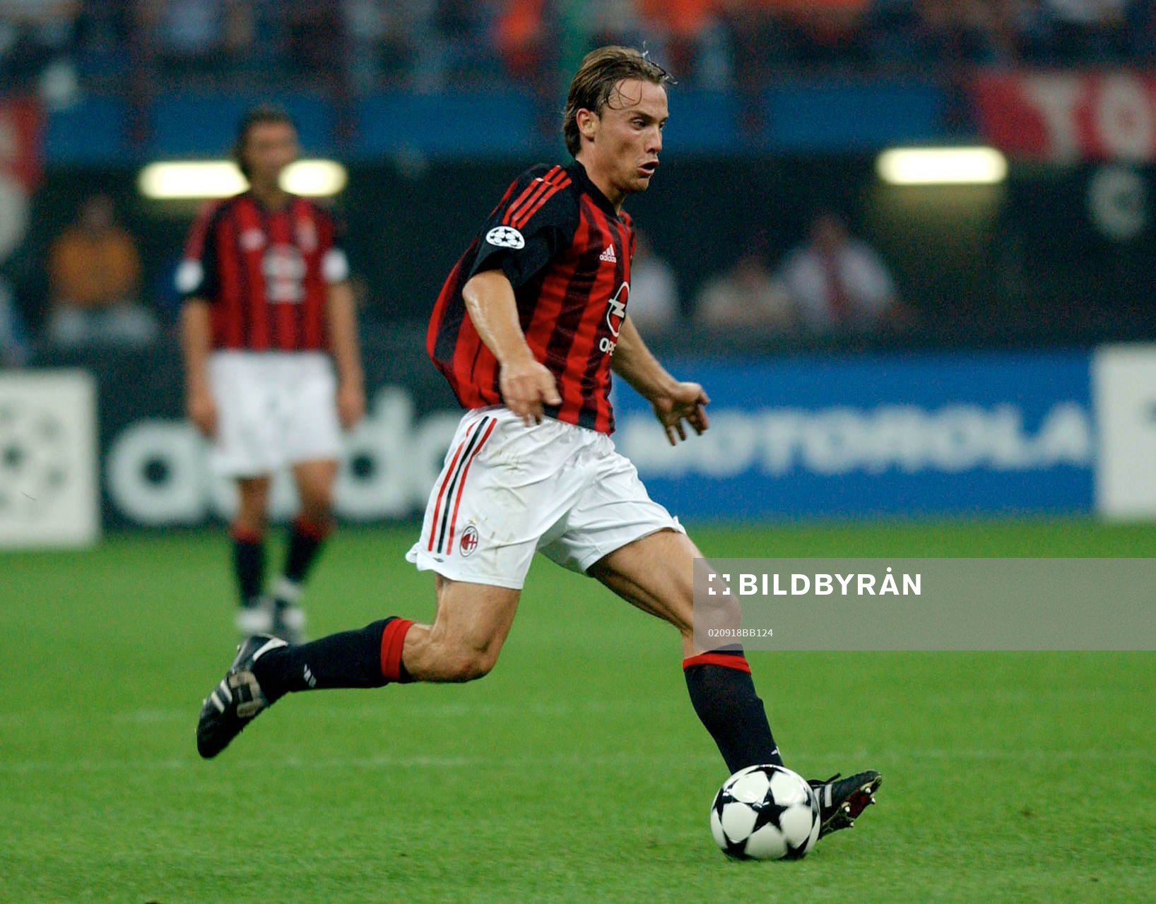 Simic, Milan