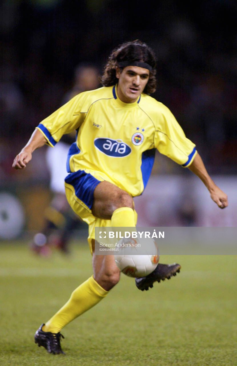 Ariel Ortega, Fenerbahce