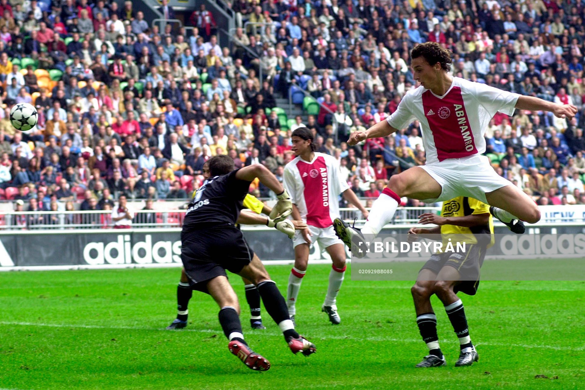 Zlatan Ibrahimovic, Ajax och Gabor Babos, NAC