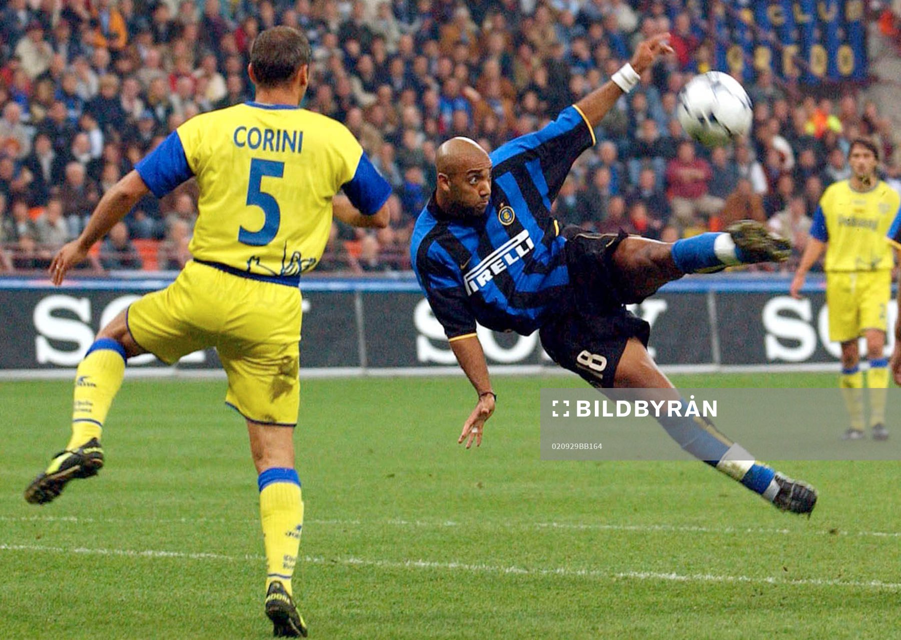 Dalmat, Inter