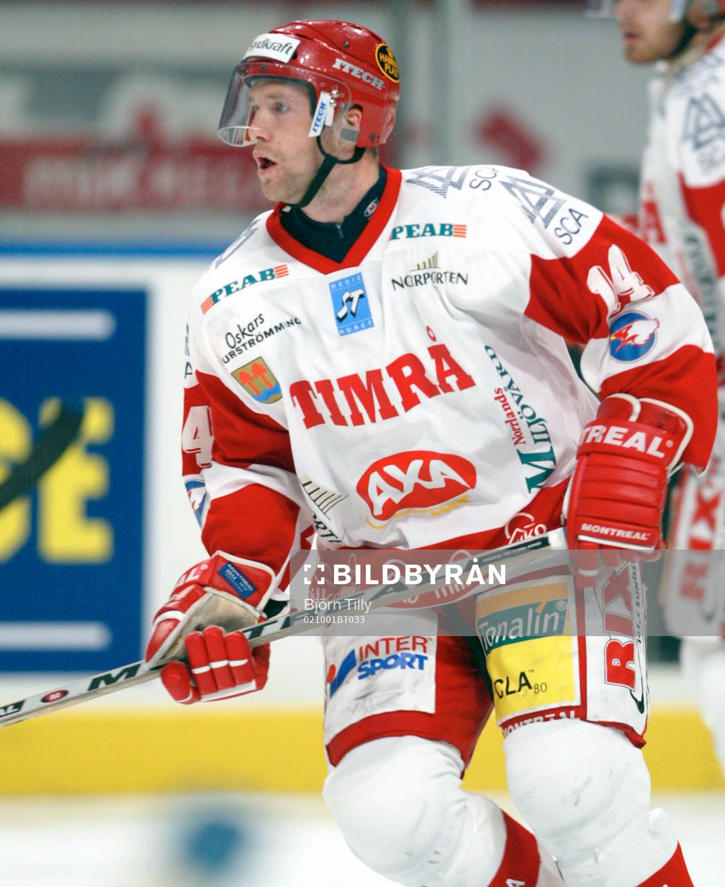 Niklas Nordgren, Timrå