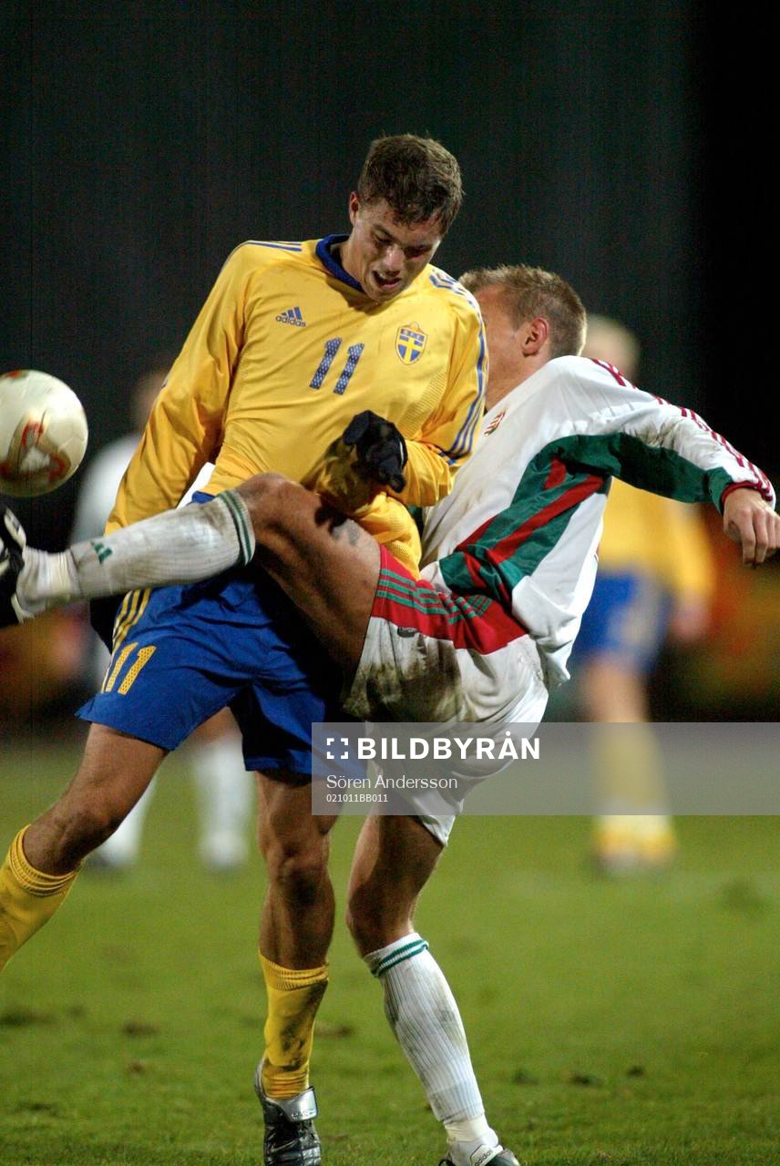 Johan Elmander, Sverige