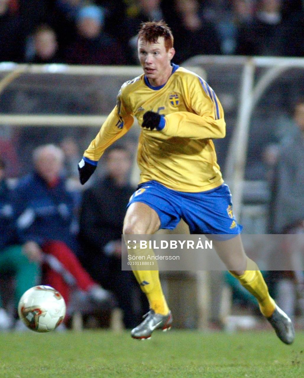 Alexander Farnerud, Sverige