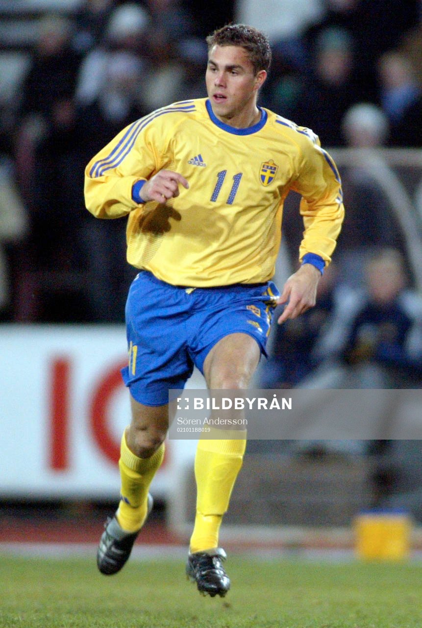 Johan Elmander, Sverige