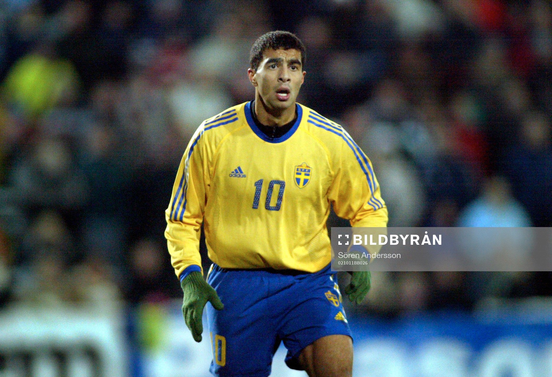 Arash Talebinejad, Sverige