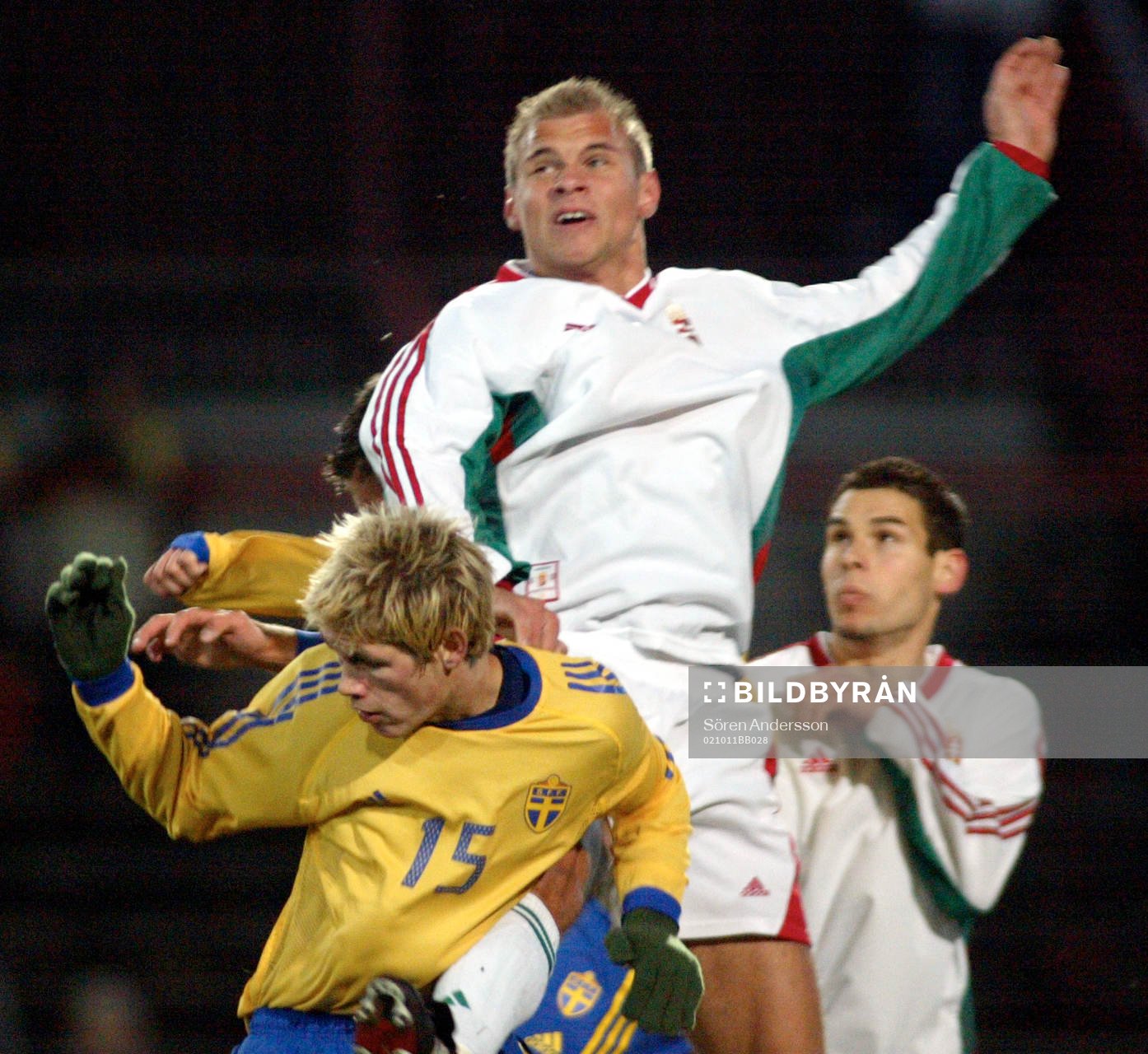 Johan Andersson, Sverige