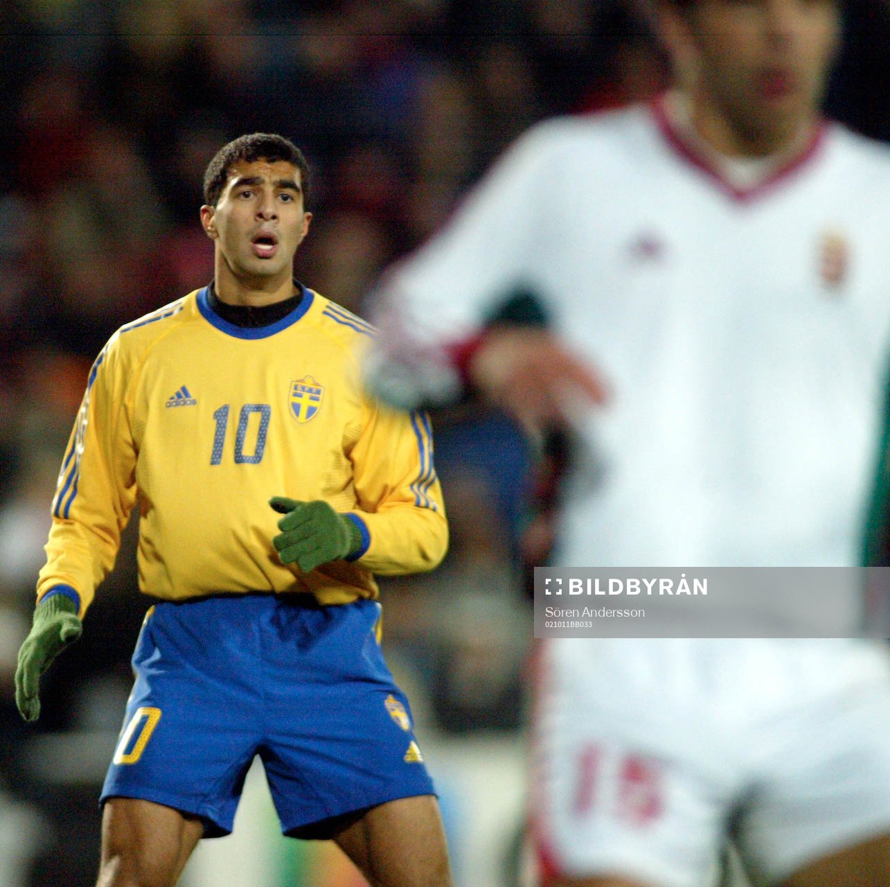 Arash Talebinejad, Sverige