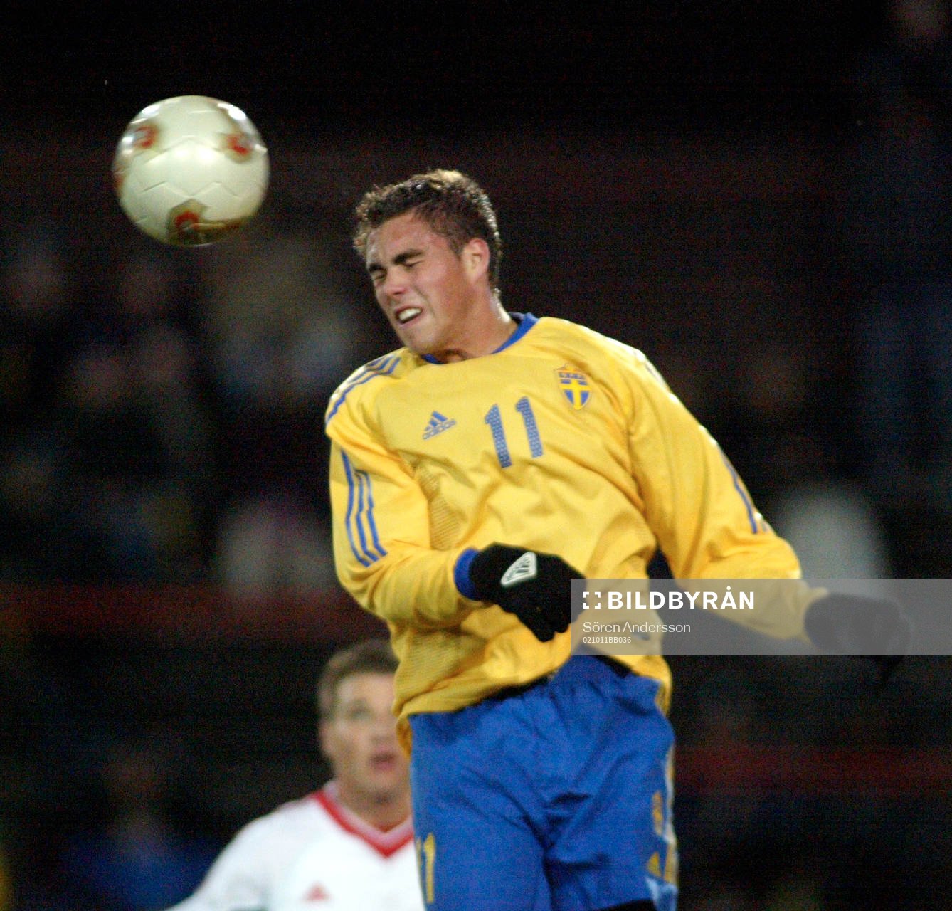 Johan Elmander, Sverige