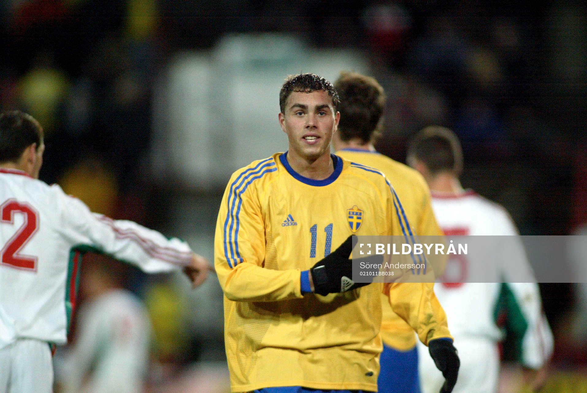 Johan Elmander, Sverige
