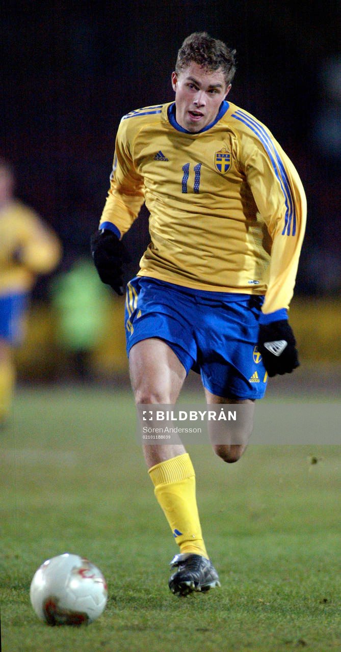 Johan Elmander, Sverige