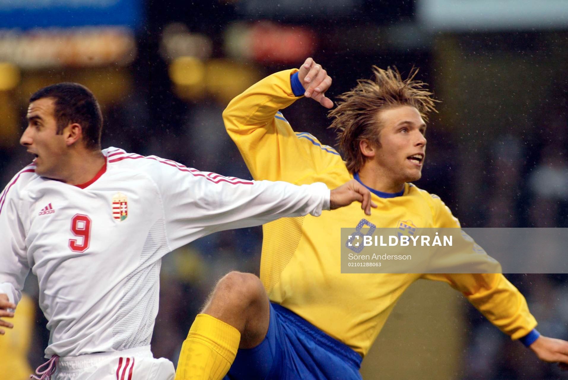 Anders Svensson, Sverige