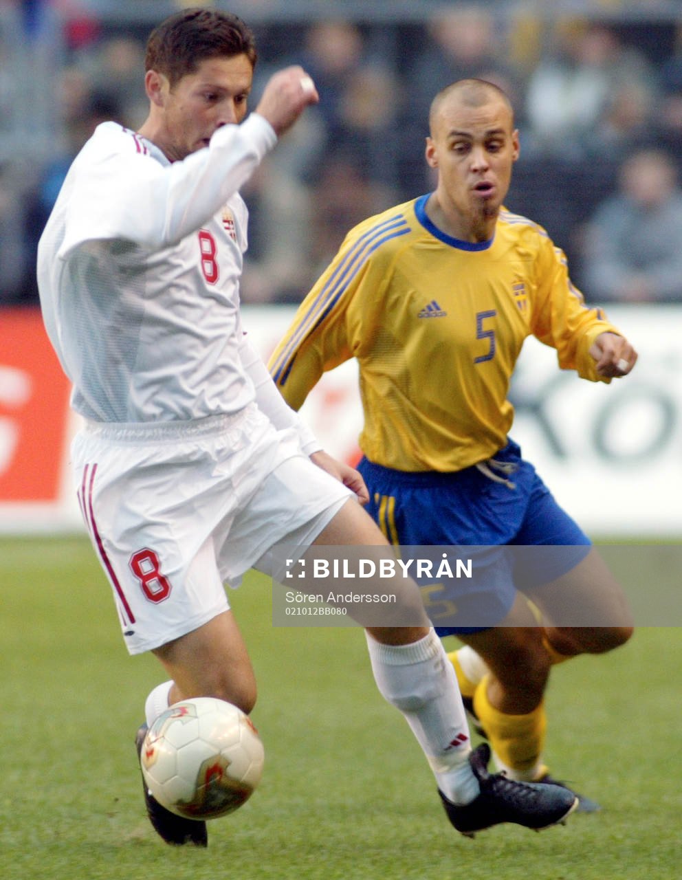 Tomas Antonelius, Sverige och Pál Dárdai, Ungern