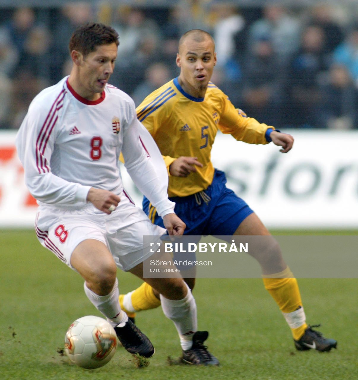 Tomas Antonelius, Sverige och Pál Dárdai, Ungern