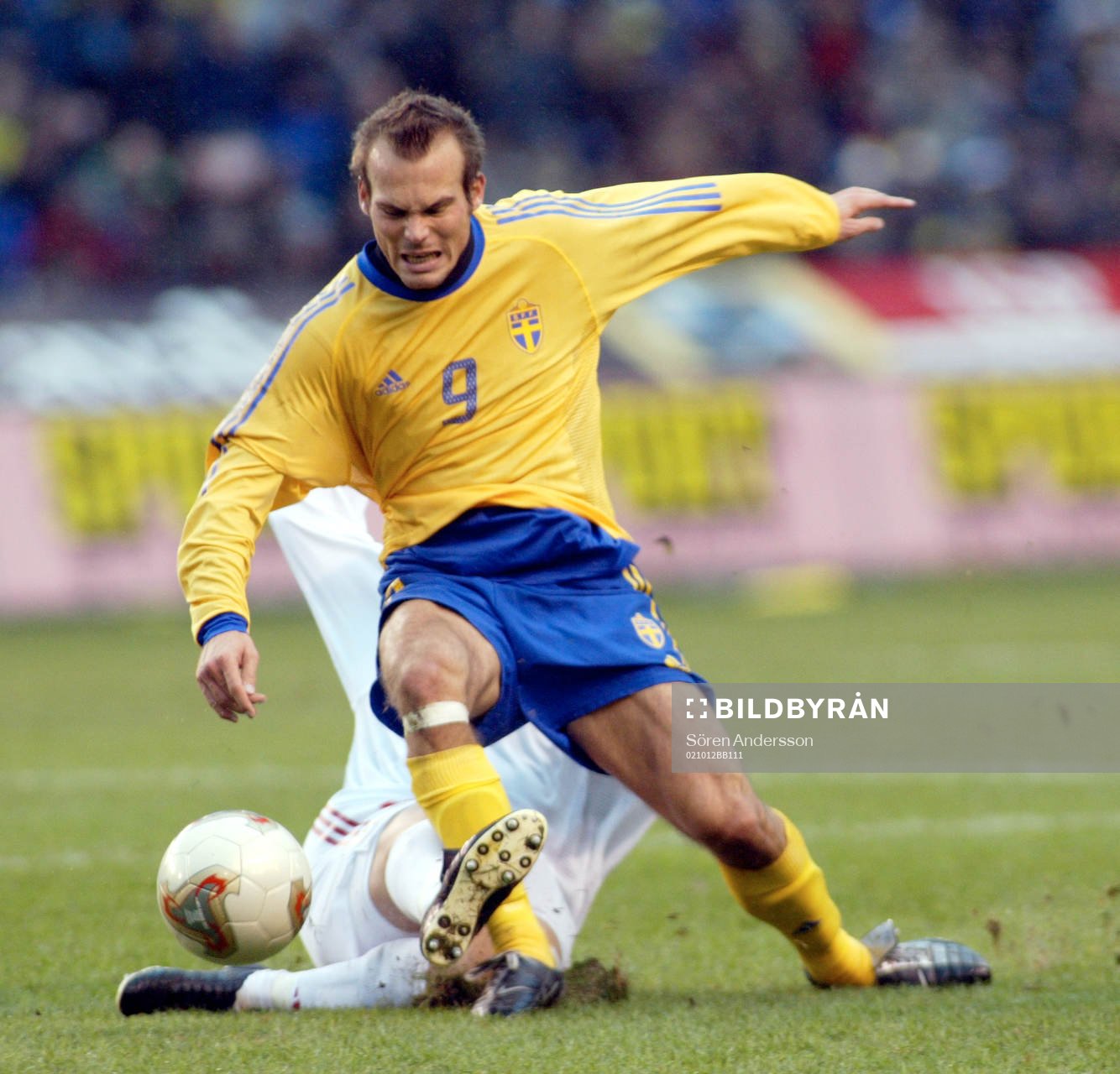 Fredrik Ljungberg, Sverige