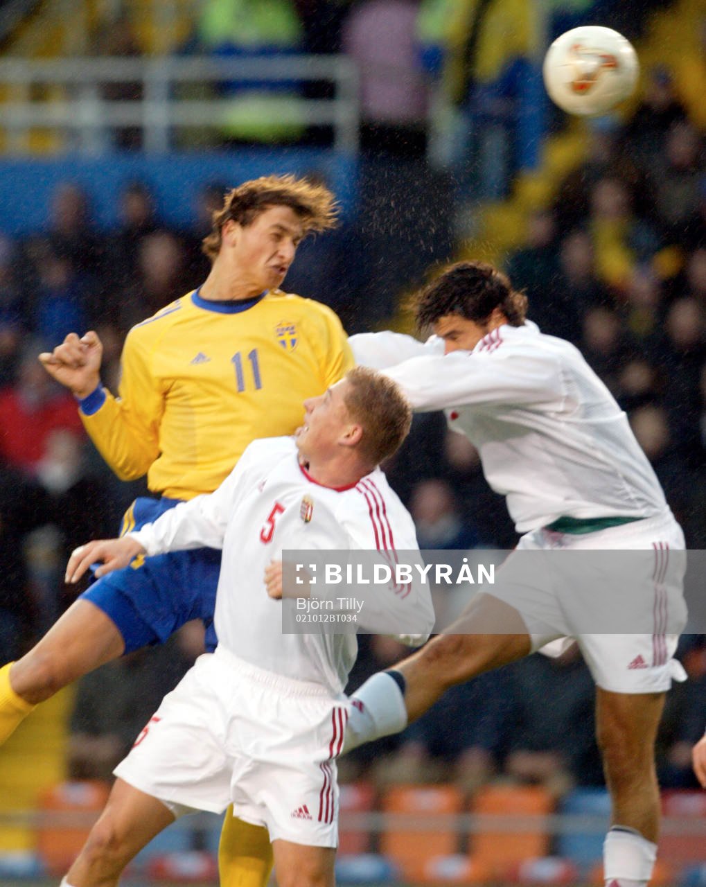 Zlatan Ibrahimovic, Sverige