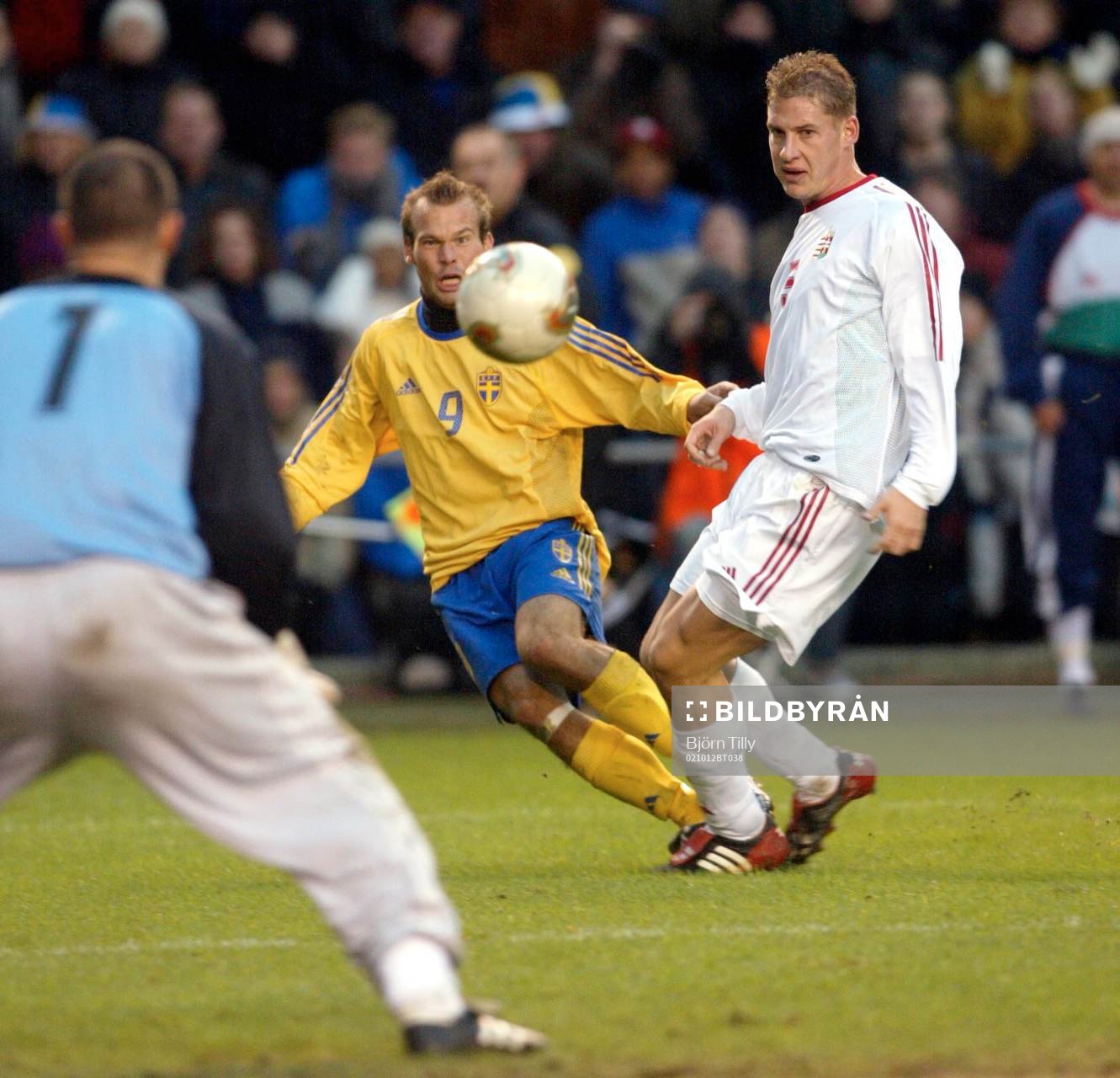 Fredrik Ljungberg, Sverige