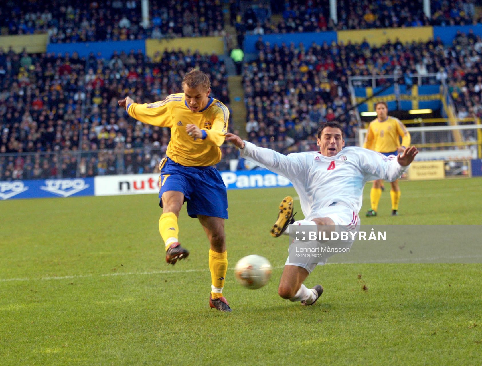 Niclas Alexandersson och Zsolt Löw