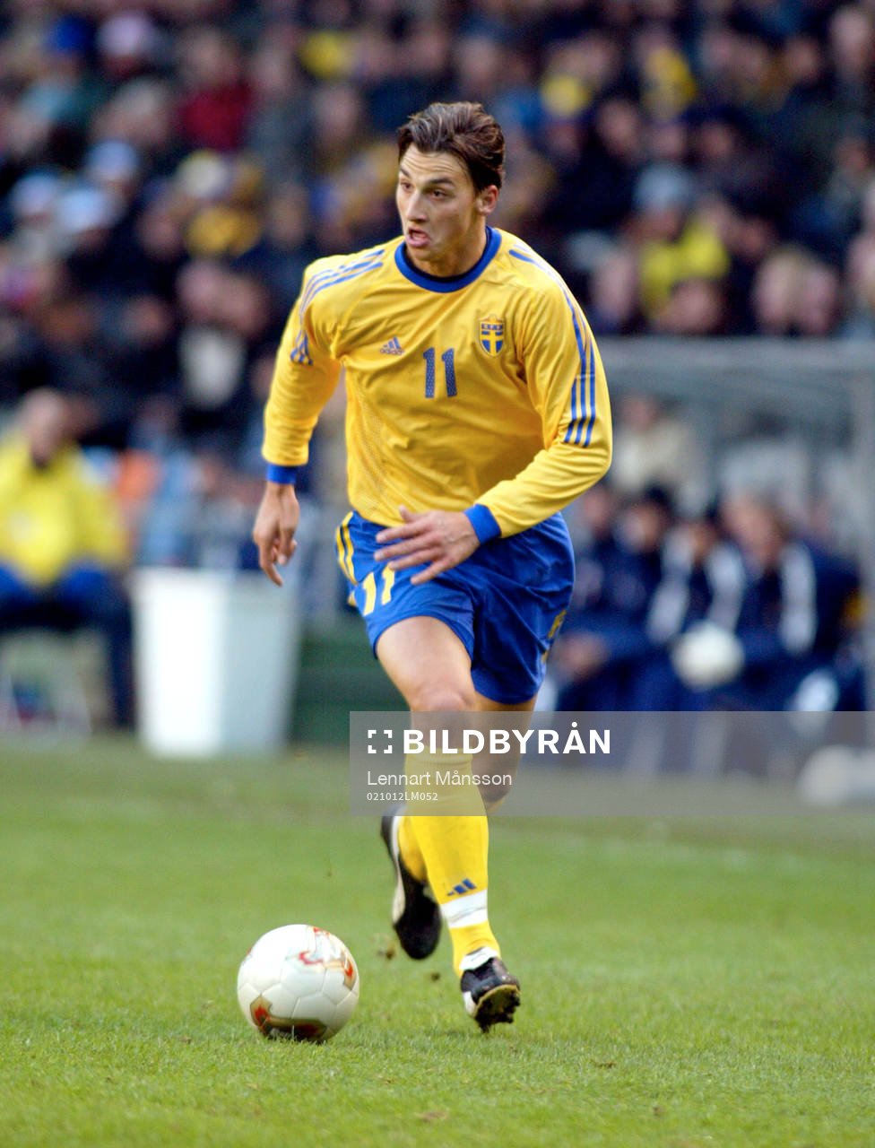 Zlatan Ibrahimovic, Sverige