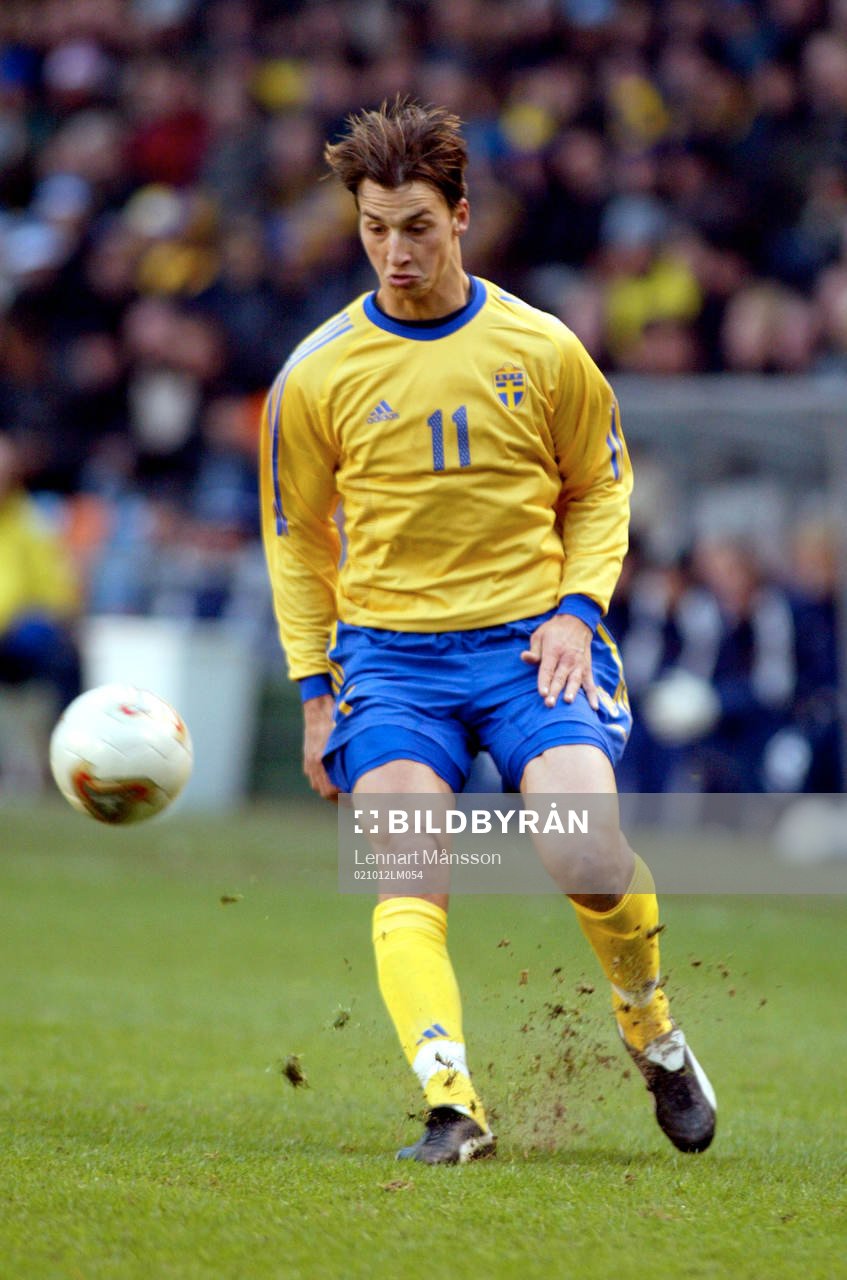 Zlatan Ibrahimovic, Sverige