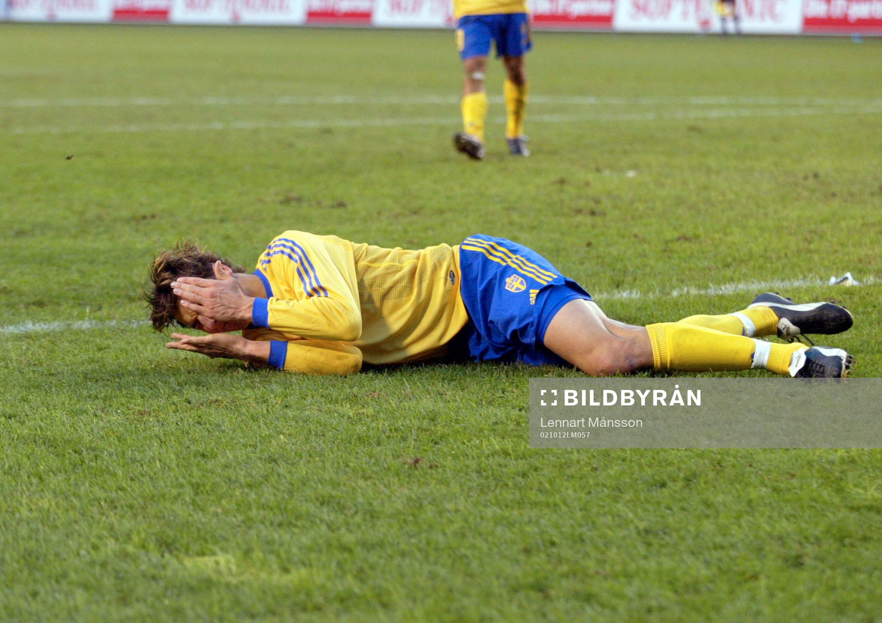 Zlatan Ibrahimovic, Sverige. Skada