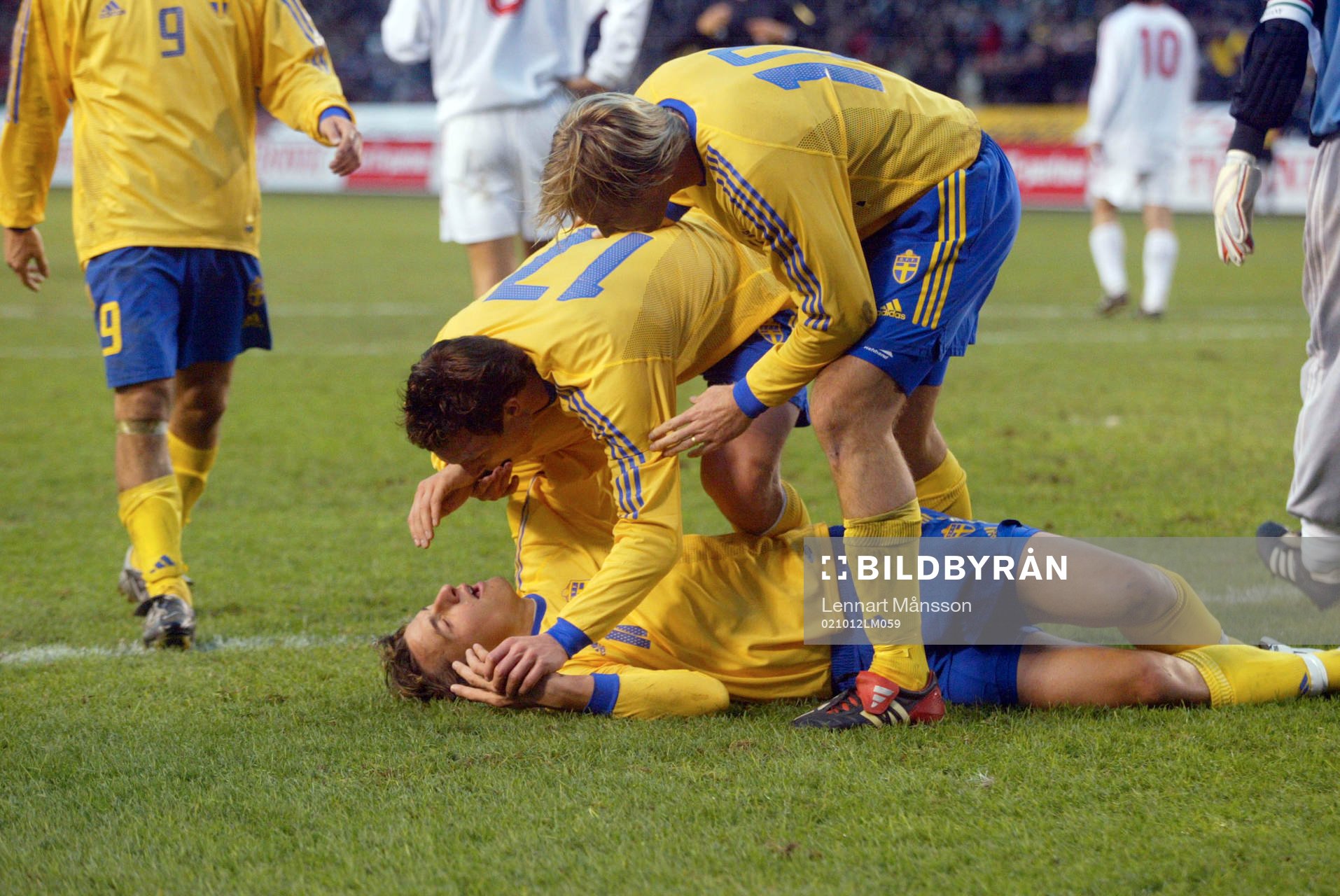 Zlatan Ibrahimovic, skada