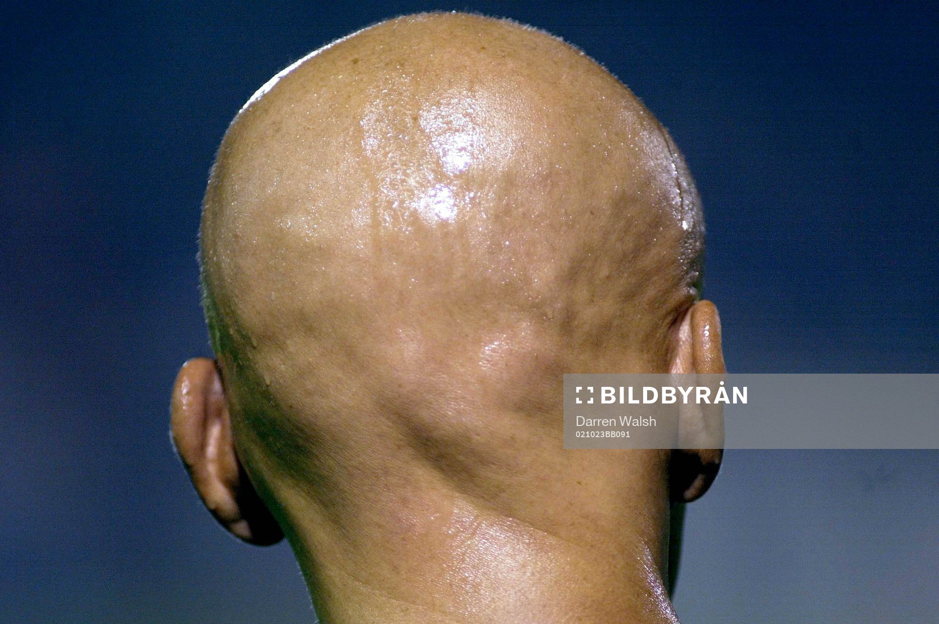 Pierluigi Collina, domare