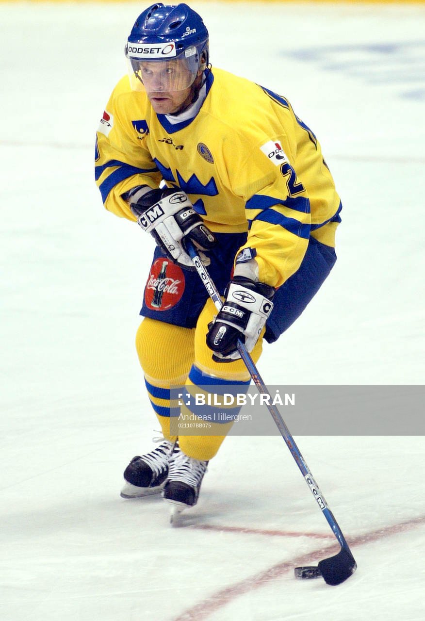 Thomas Rhodin, Sverige