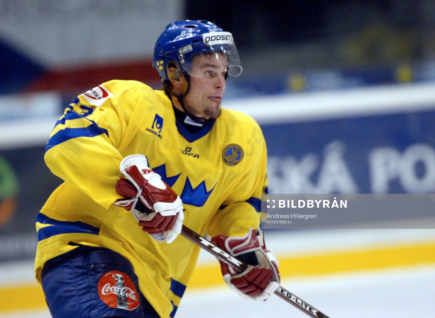 Ronnie Sundin, Sverige