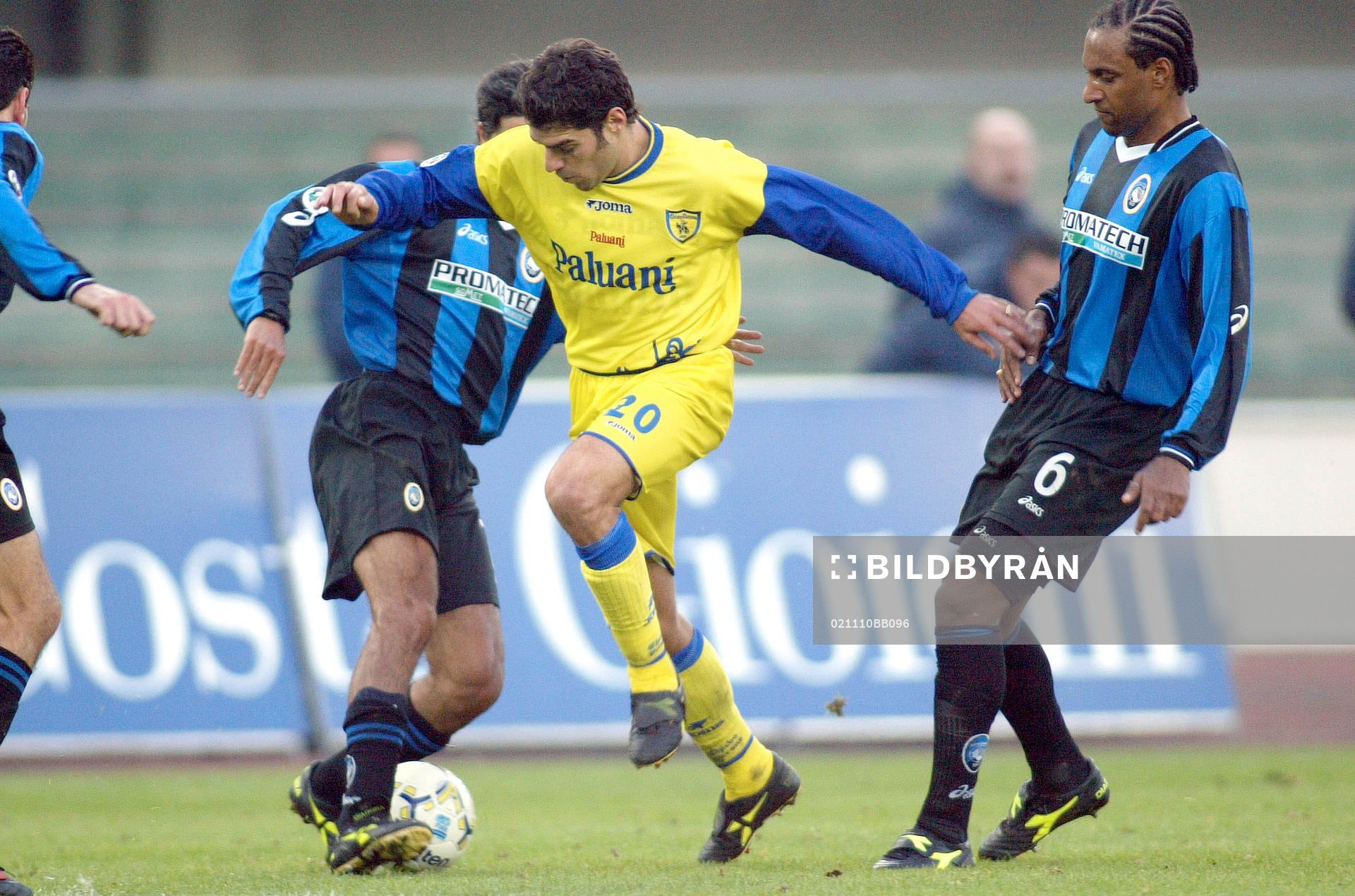 Perrotta