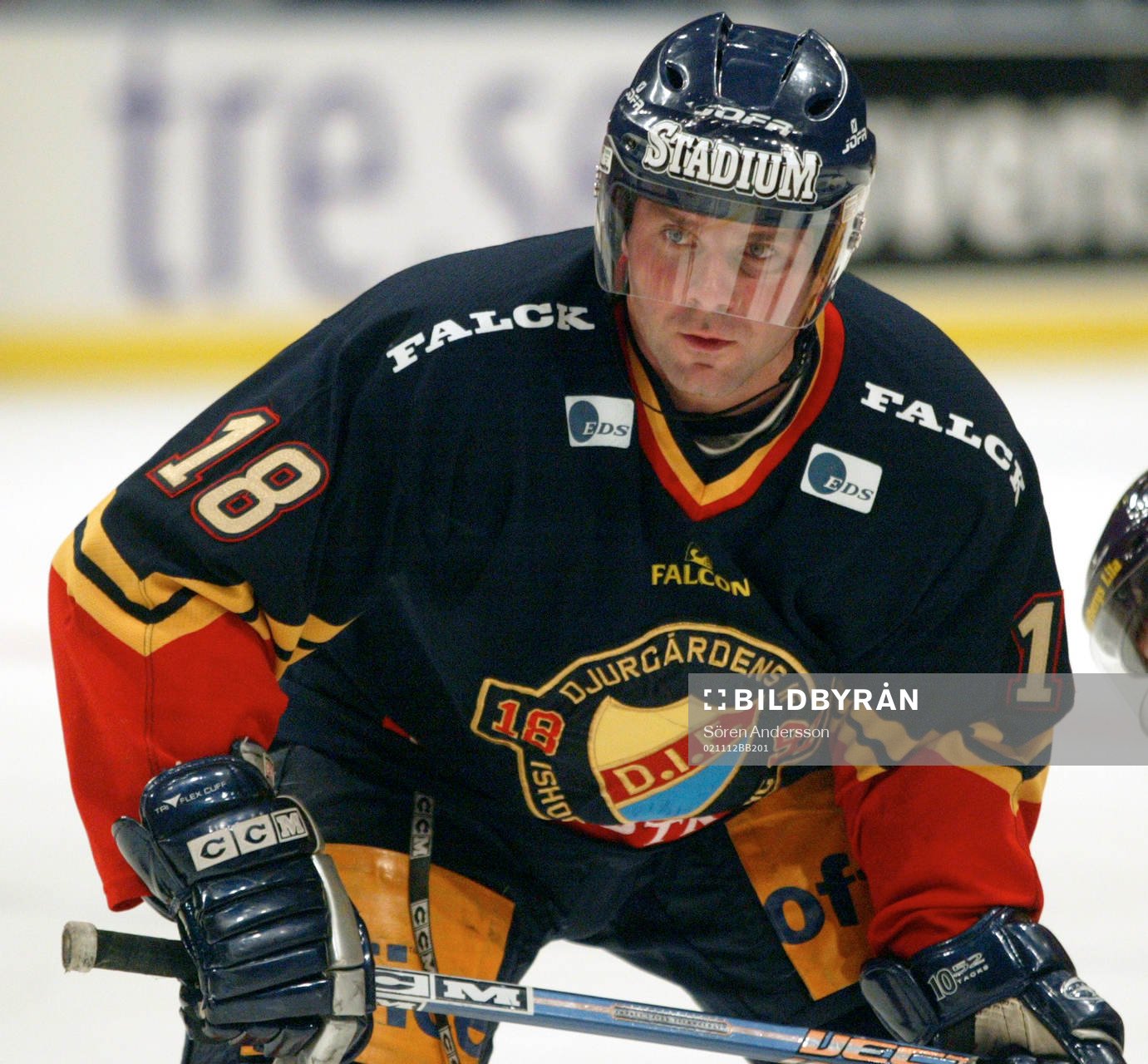 Tomas Strandberg, Djurgården