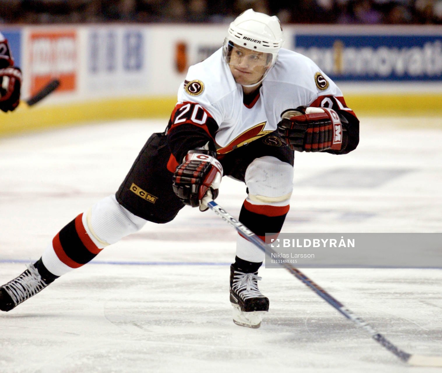 Magnus Arvedson, Ottawa