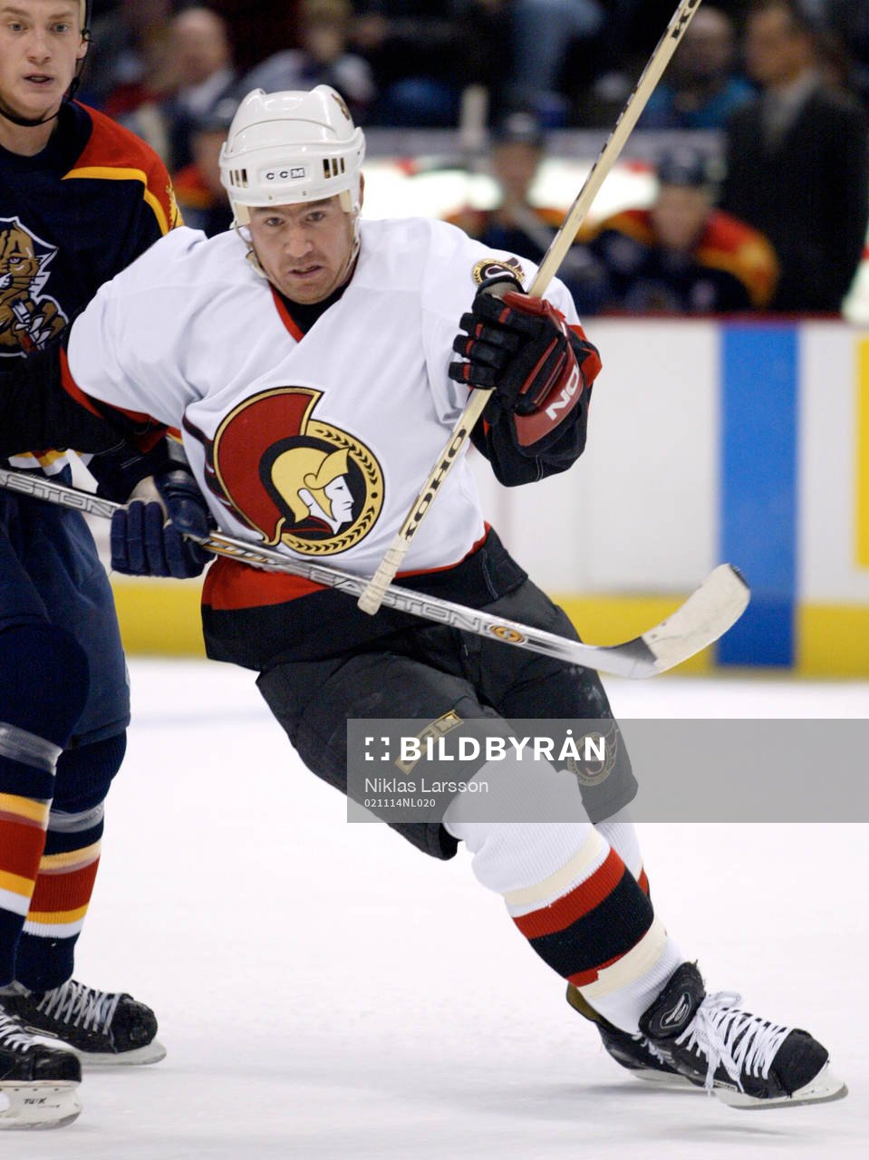 Magnus Arvedson, Ottawa