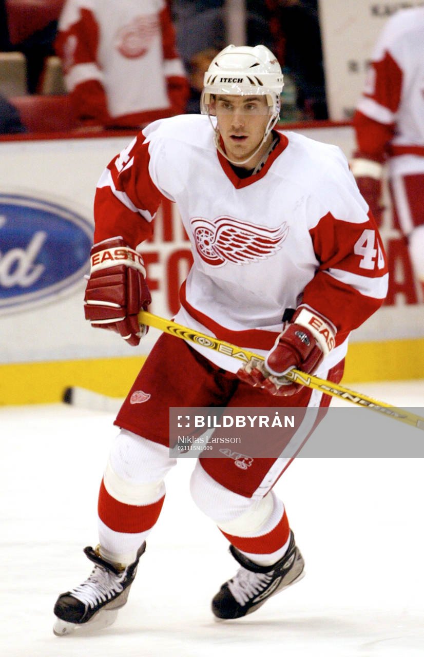 Henrik Zetterberg, Detroit