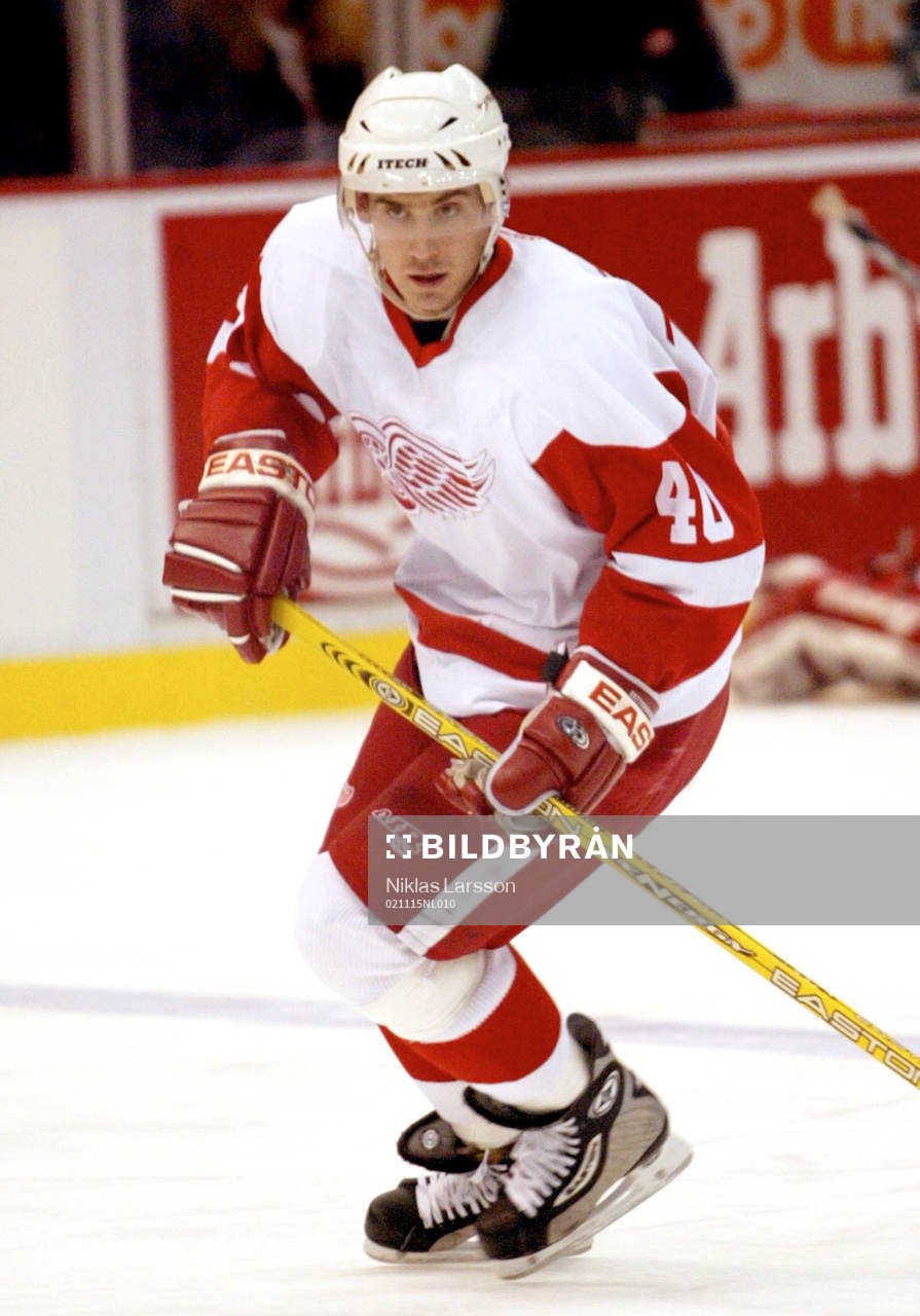 Henrik Zetterberg, Detroit