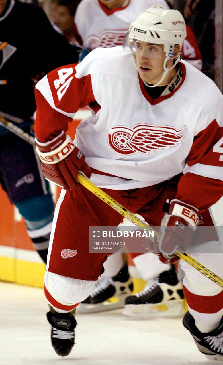 Henrik Zetterberg, Detroit