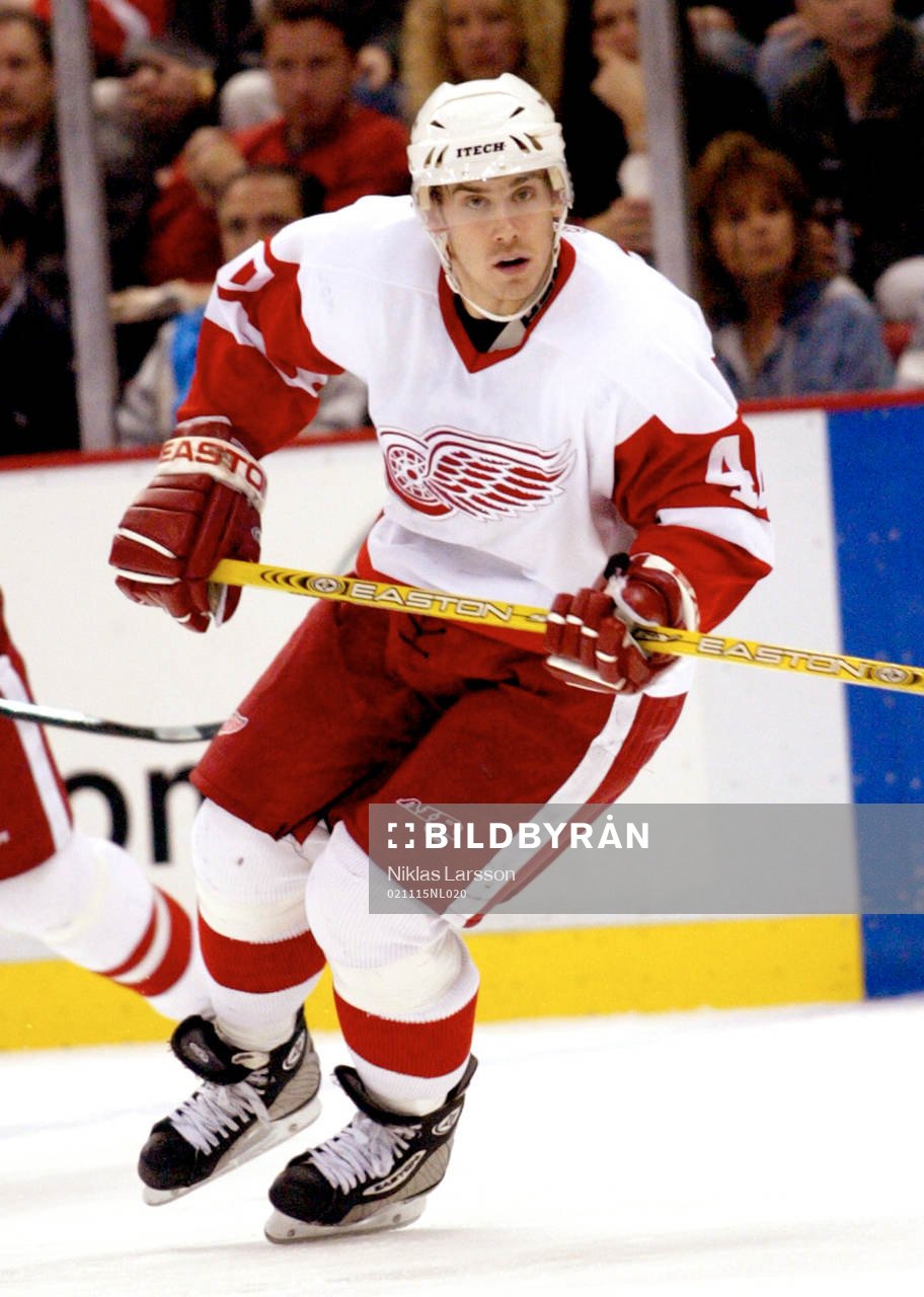 Henrik Zetterberg, Detroit