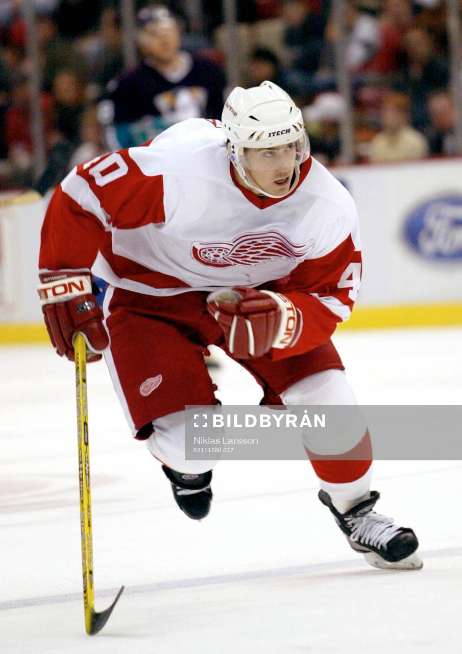 Henrik Zetterberg, Detroit