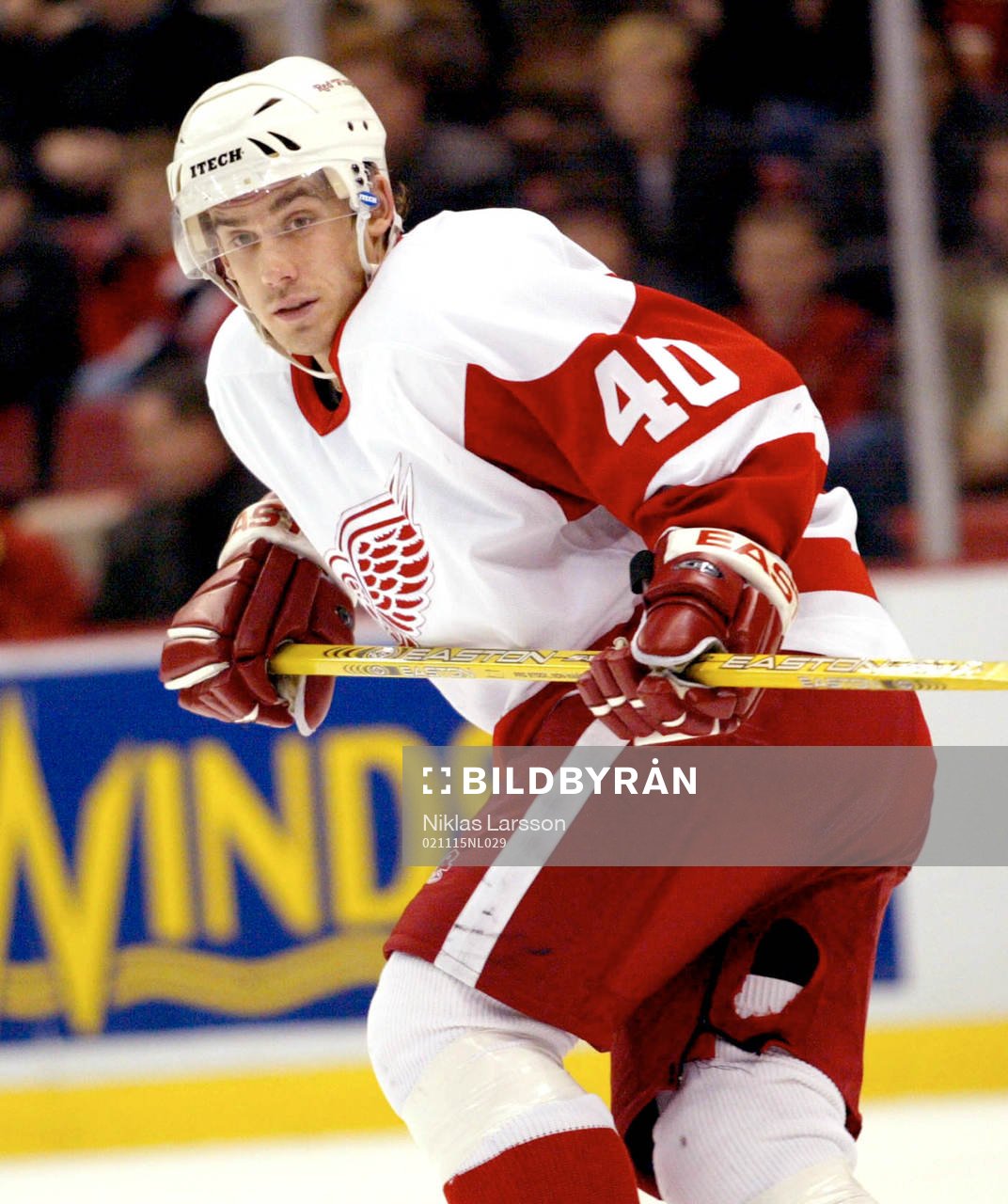 Henrik Zetterberg, Detroit