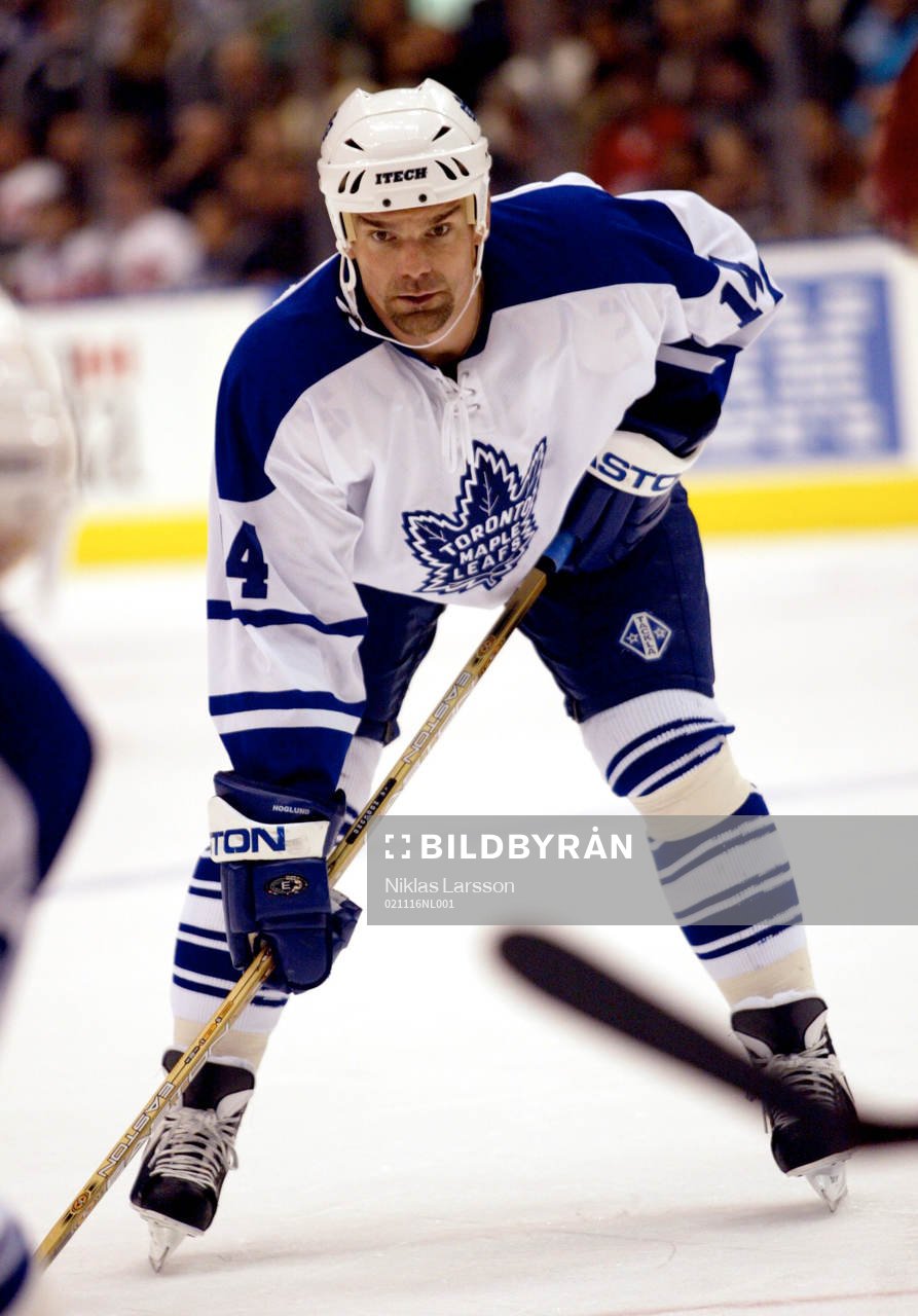 Jonas Höglund, Toronto