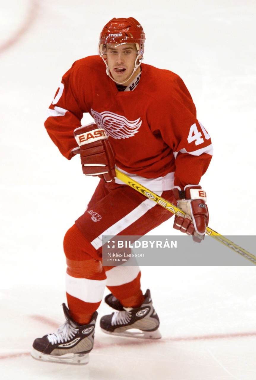 Henrik Zetterberg, Detroit