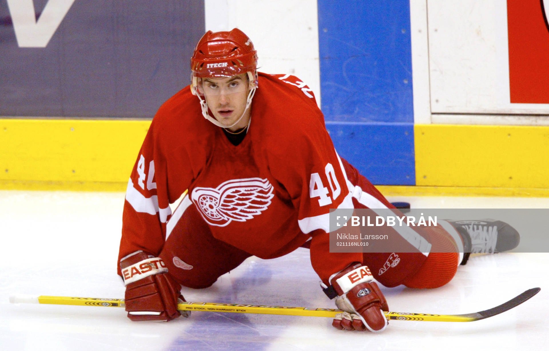 Henrik Zetterberg, Detroit